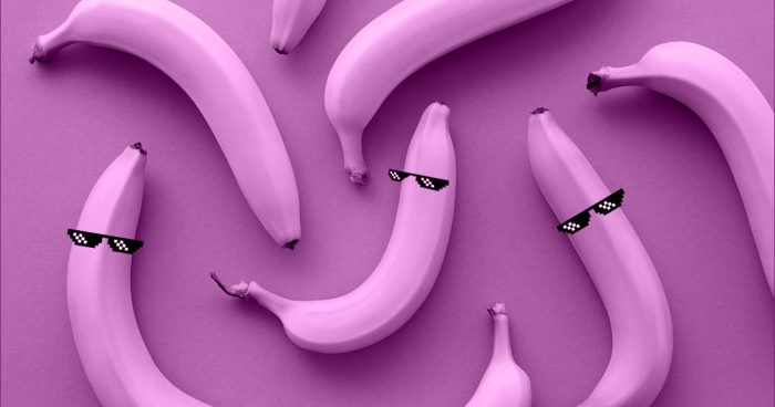 Algumas bananas com óculos sobre uma superfície roxa.