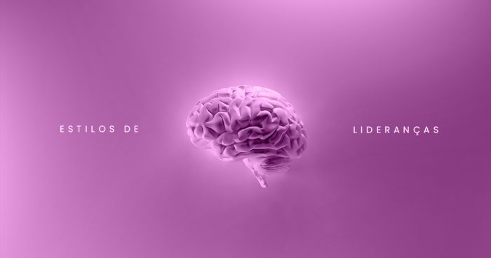 Um cérebro humano no centro da imagem. Ao lado dele, está escrito "Estilos de lideranças".